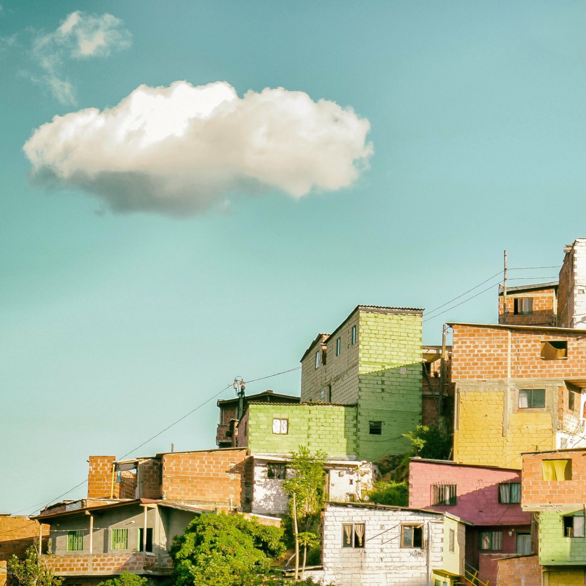 Album cover of Ronroco