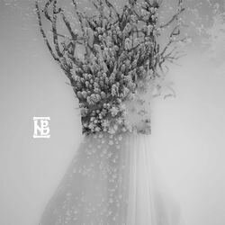 Cover of Zău