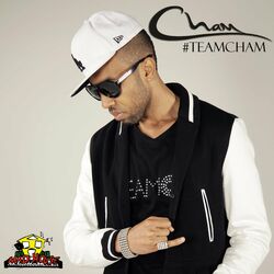 Cover of Team Cham