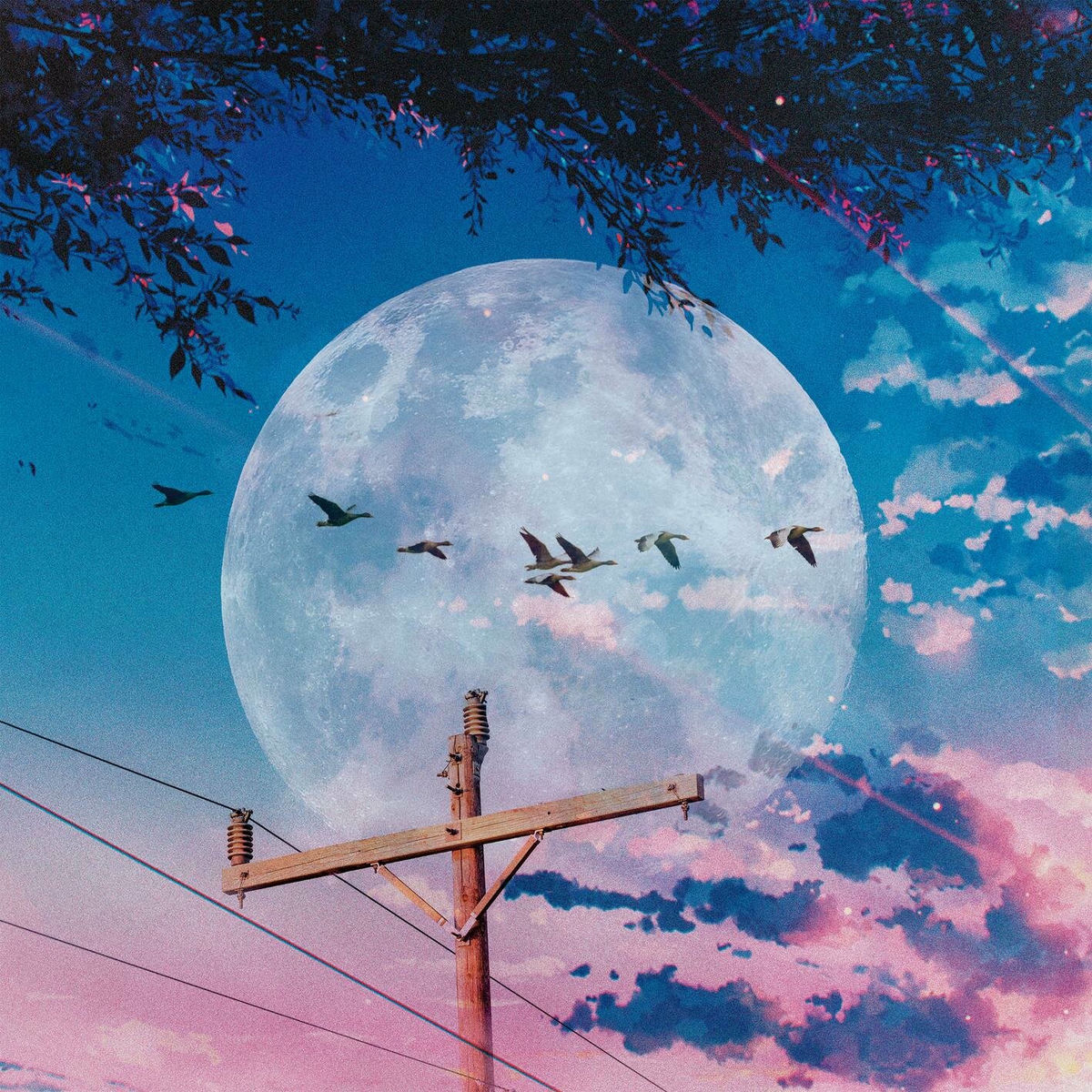 Album cover of Come Back