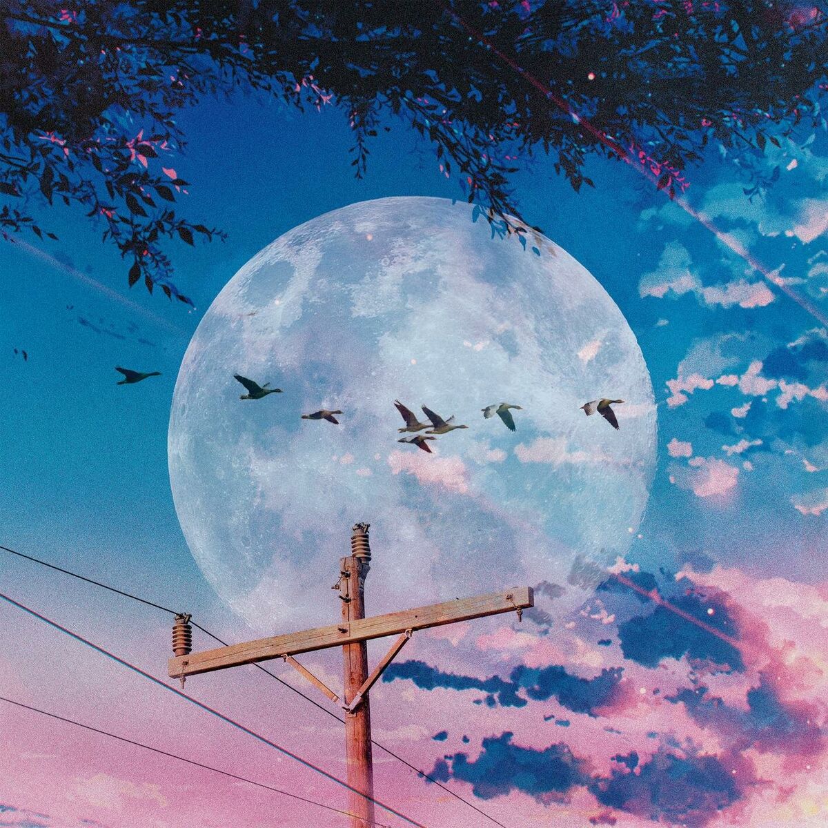 Album cover of Come Back