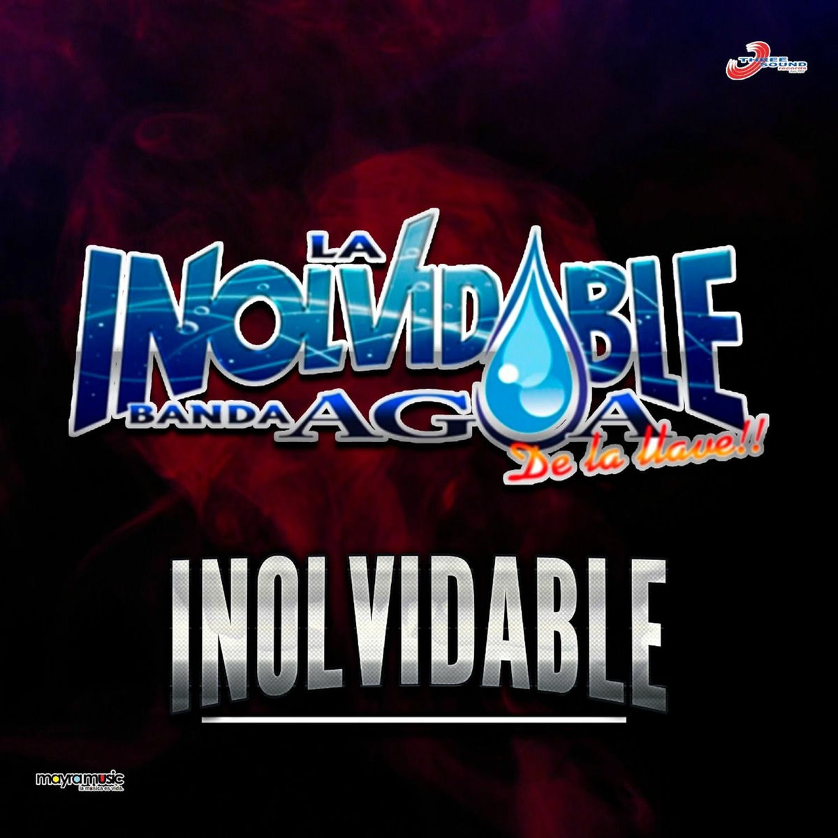 Album picture of Inolvidable