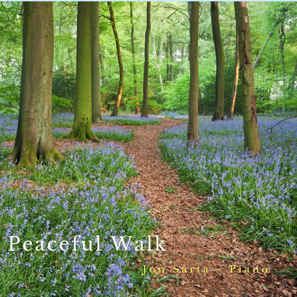 Picture of Peaceful Walk