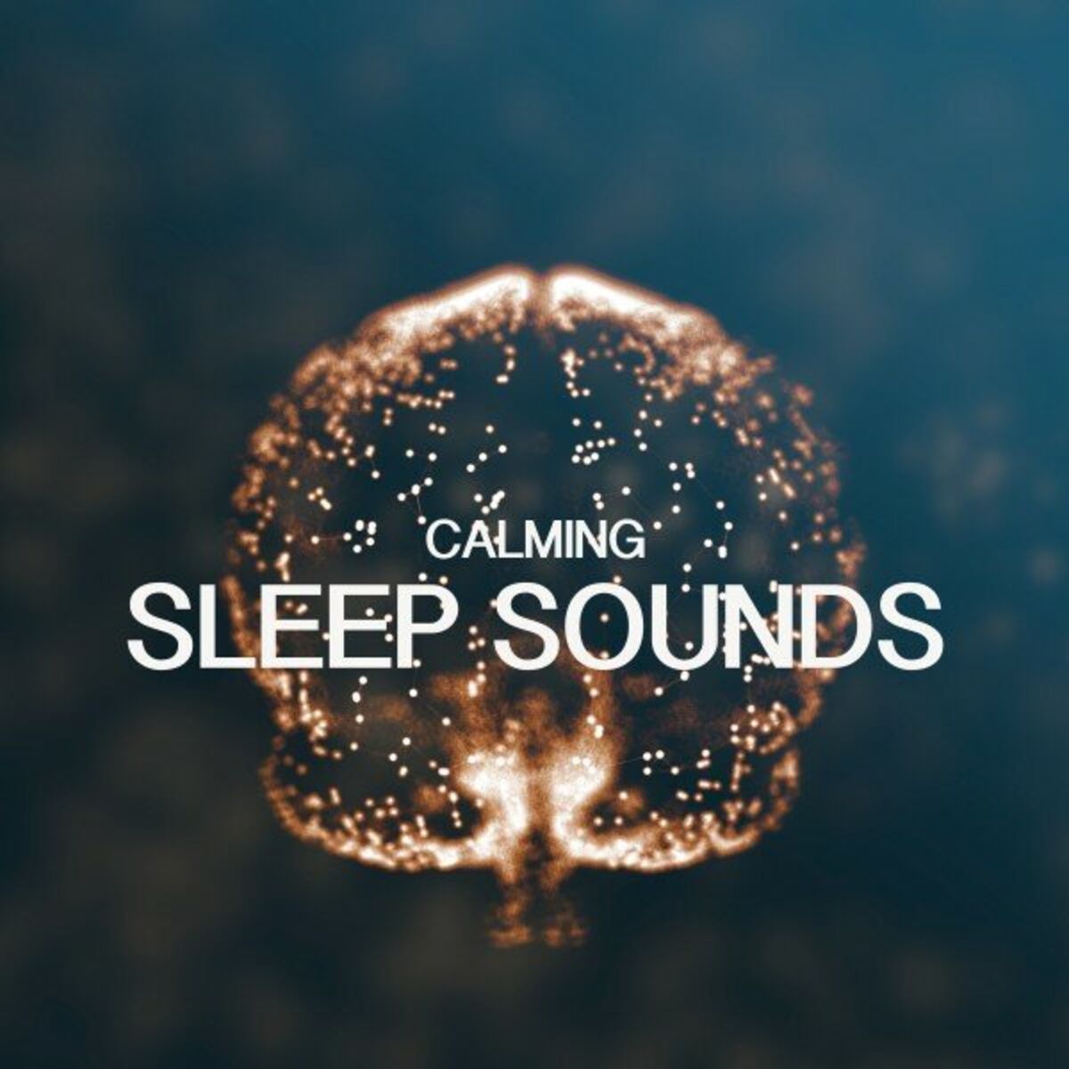 Album cover of Calming Sleep Sounds