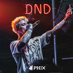 Cover of DO NOT DISTURB