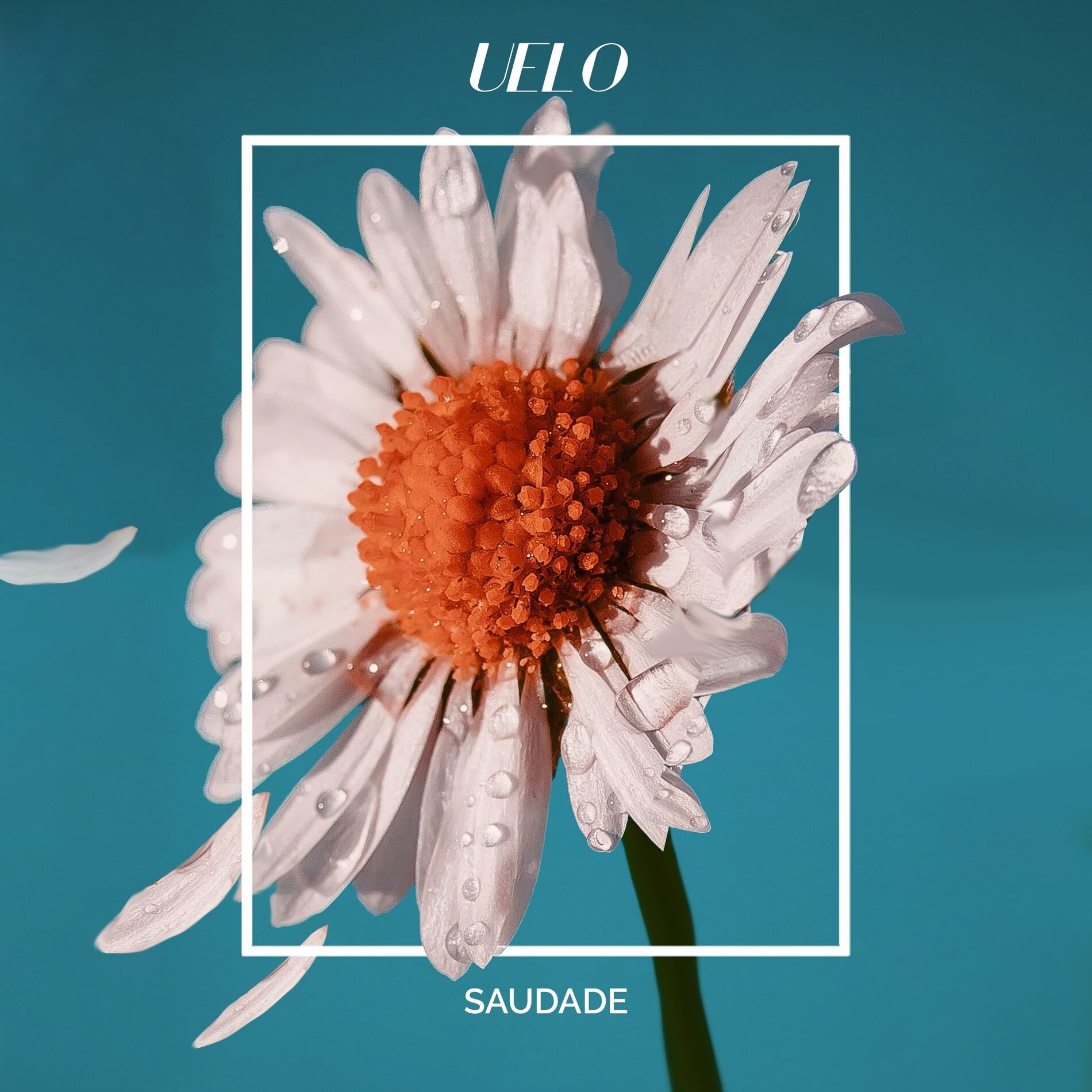 Album cover of Saudade