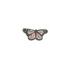 Cover of Butterfly