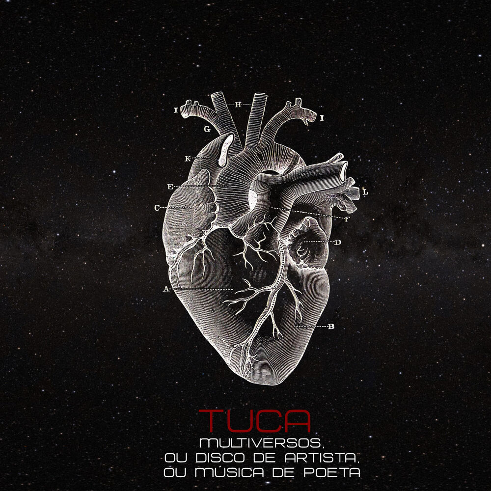 Picture of Multiversos ou Disco de Artista ou Música de Poeta