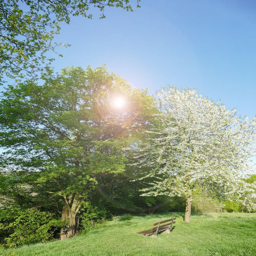 Healing of Mind And Consciousness (Relaxing Music) sleeve