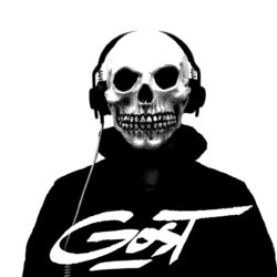Cover of Skull