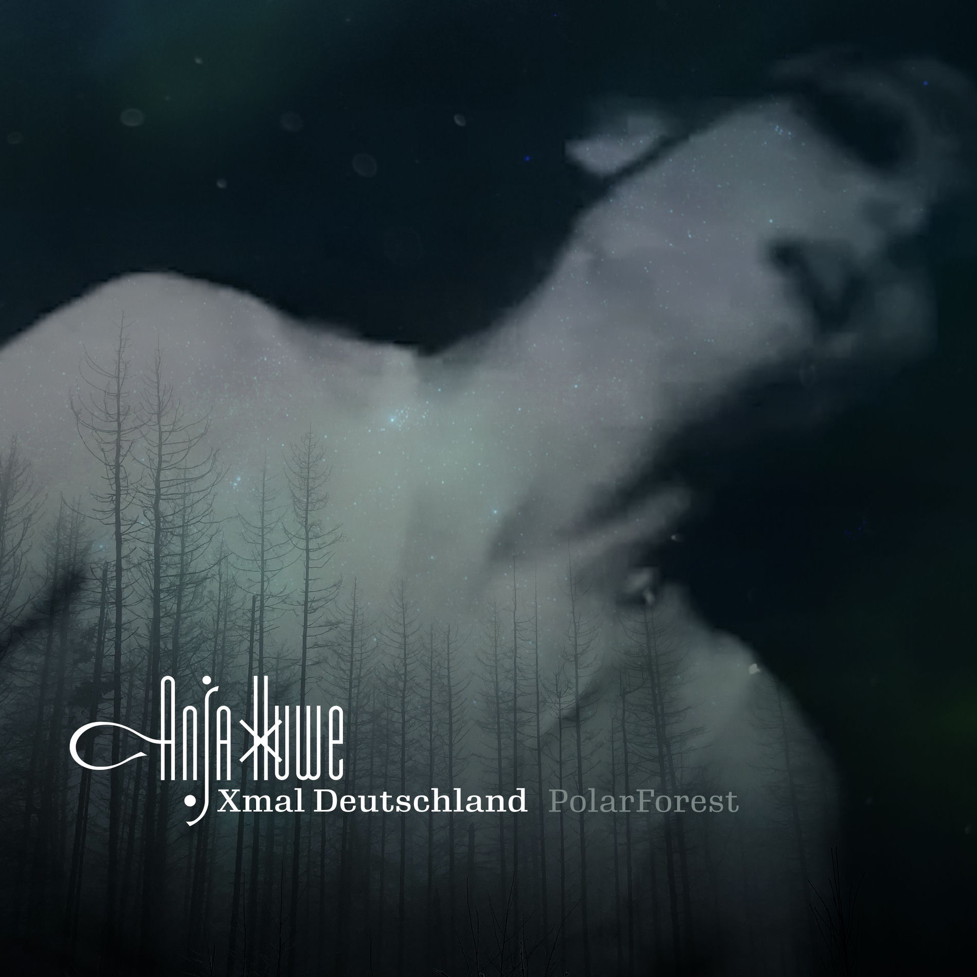 Album cover of PolarForest