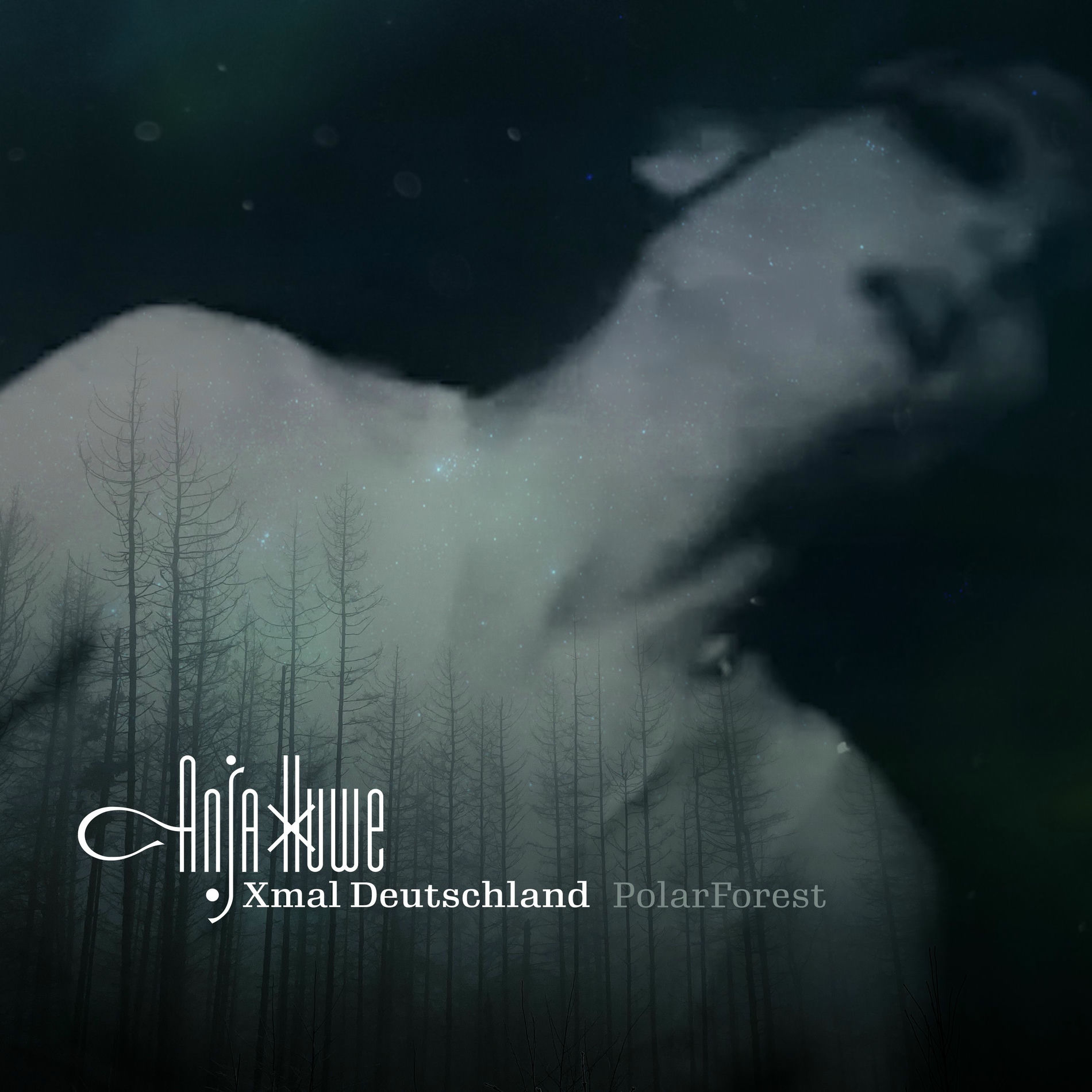 Album cover of PolarForest