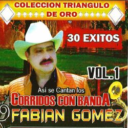 Cover of 30 Exitos Vol.1