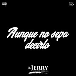 Cover of Aunque No Sepa Decirlo
