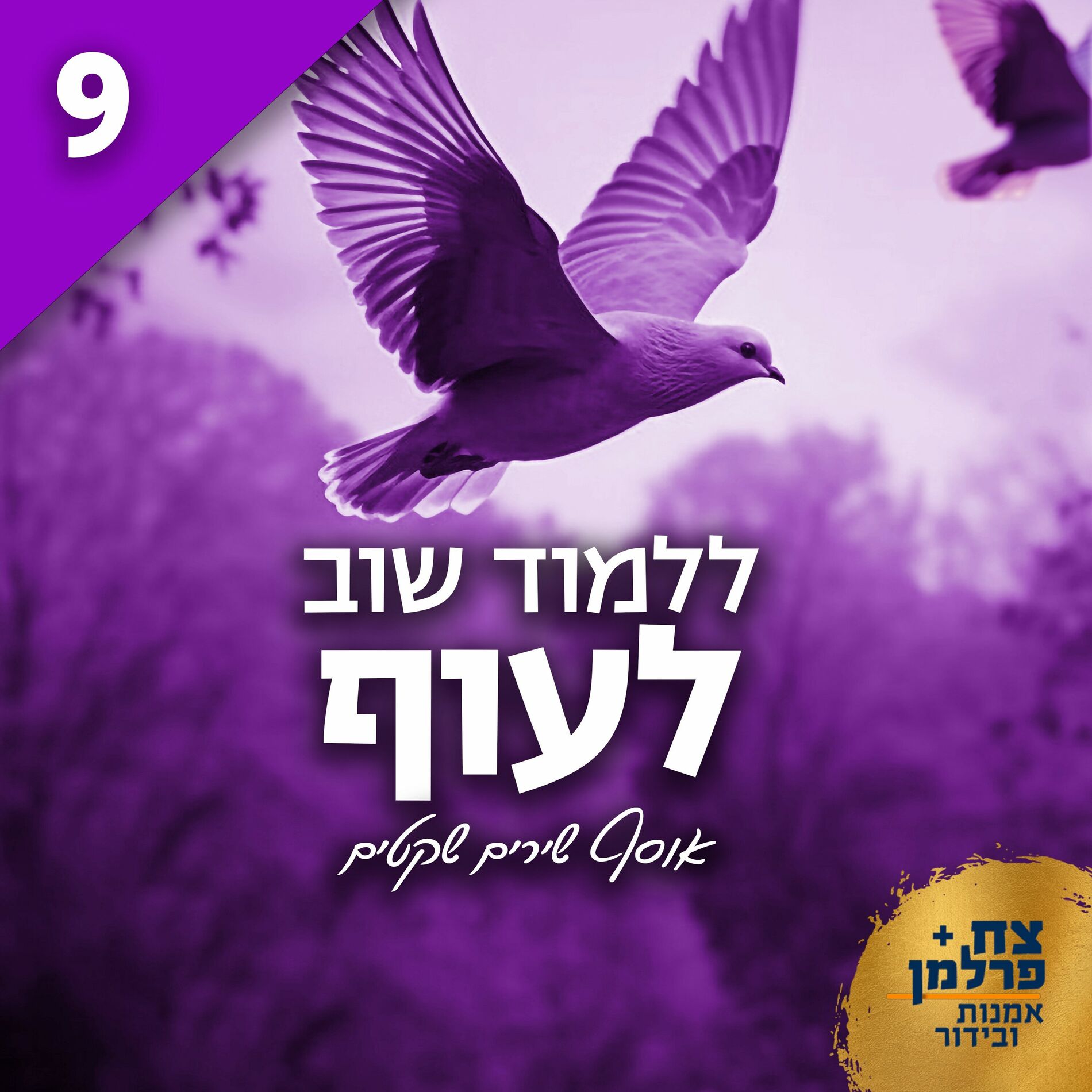 Album cover of ללמוד שוב לעוף 9