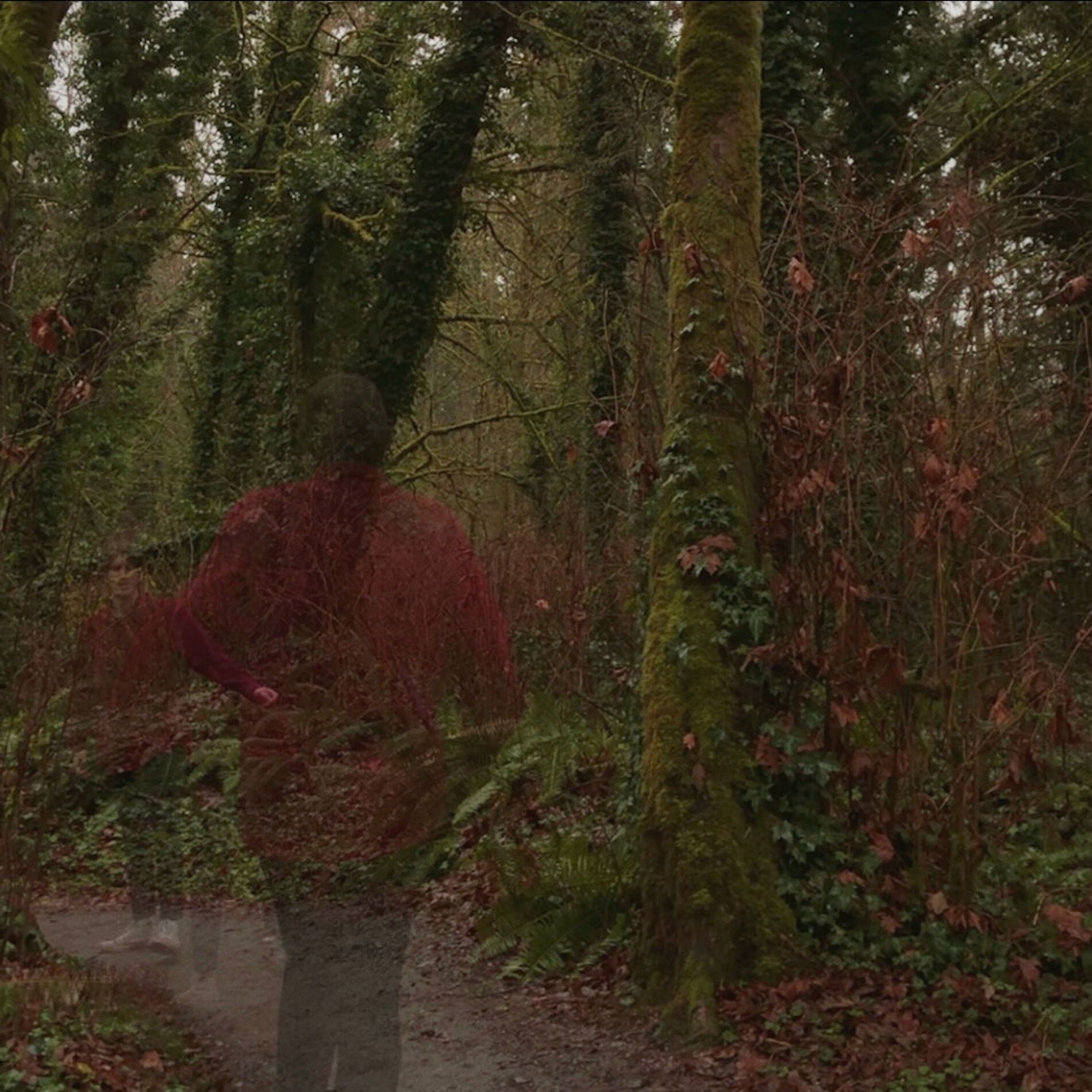 Album cover of Dismal