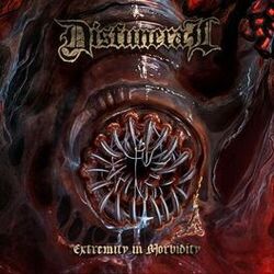 Cover of Extremity in Morbidity