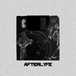 Cover of AFTERLYFE
