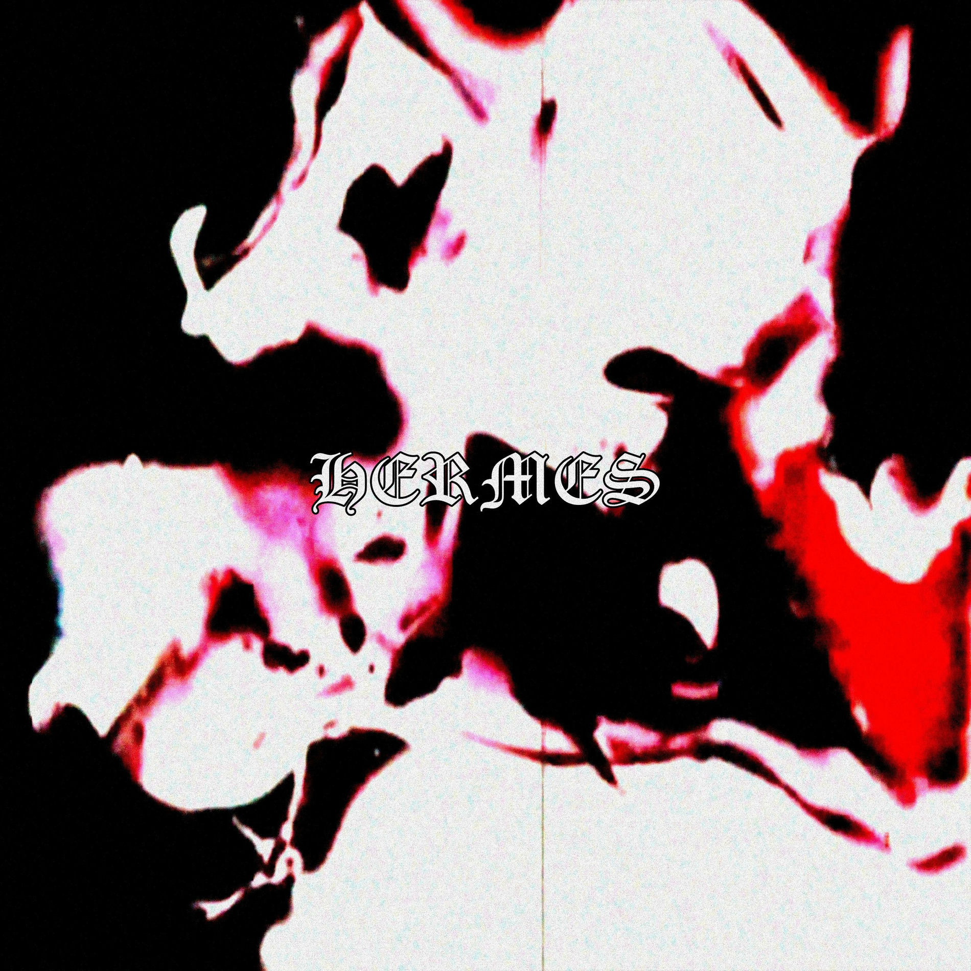 Album cover of HERMES