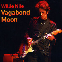 Cover of Vagabond Moon