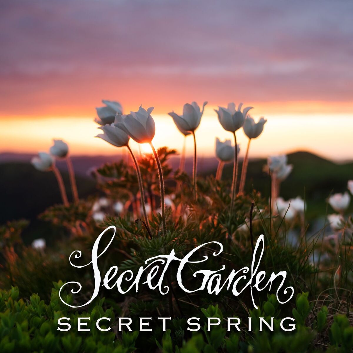 Album cover of Secret Spring
