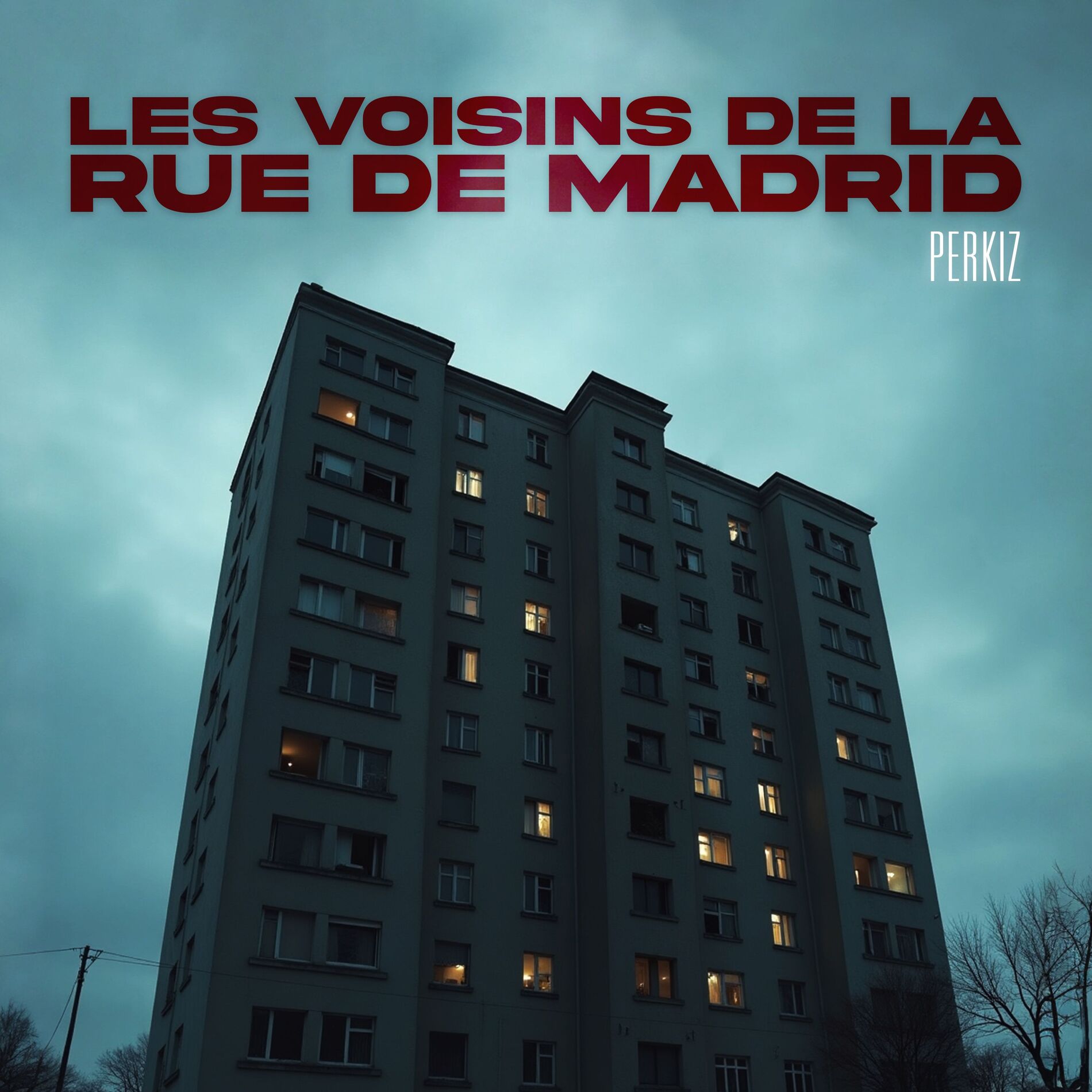 Album cover of PERKIZ