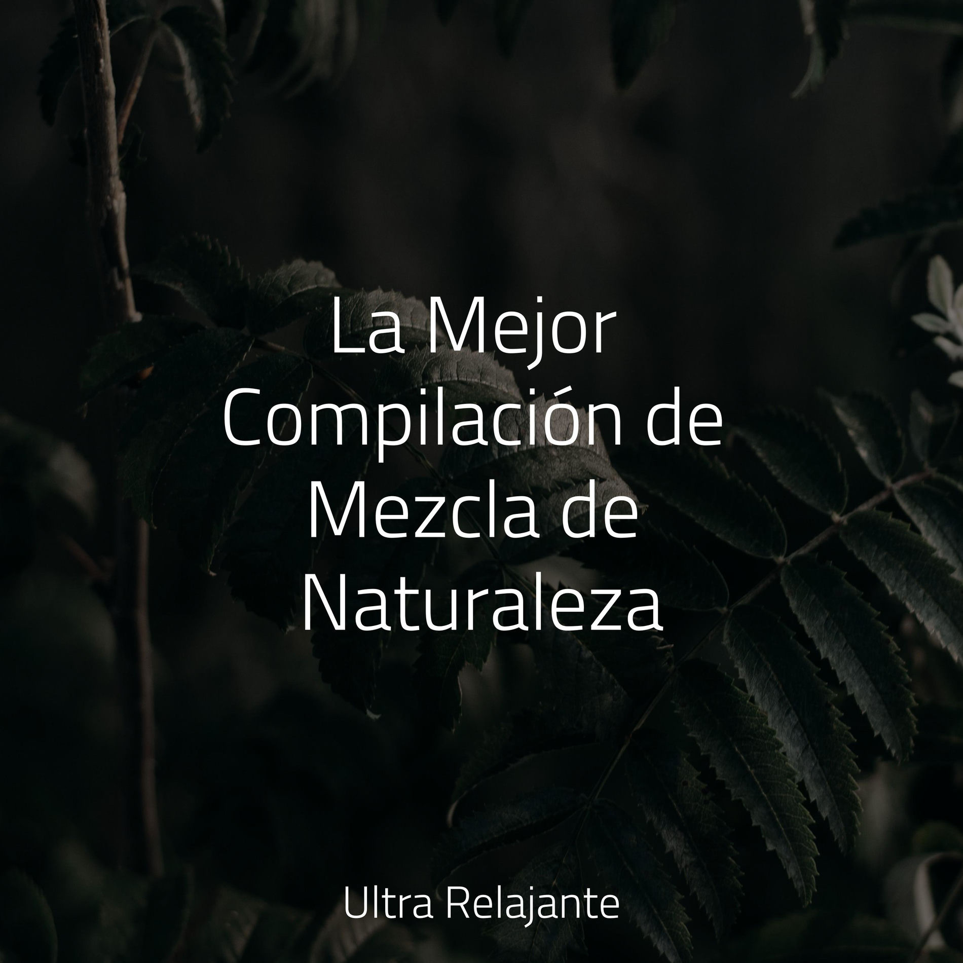Album cover of La Mejor Compilación de Mezcla de Naturaleza