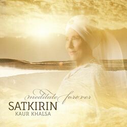 Cover of Meditate Forever