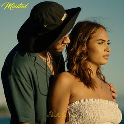 Cover of Pour la vie