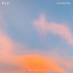 Fly