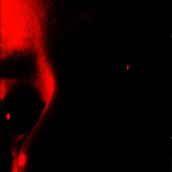 Cover of Cambucha