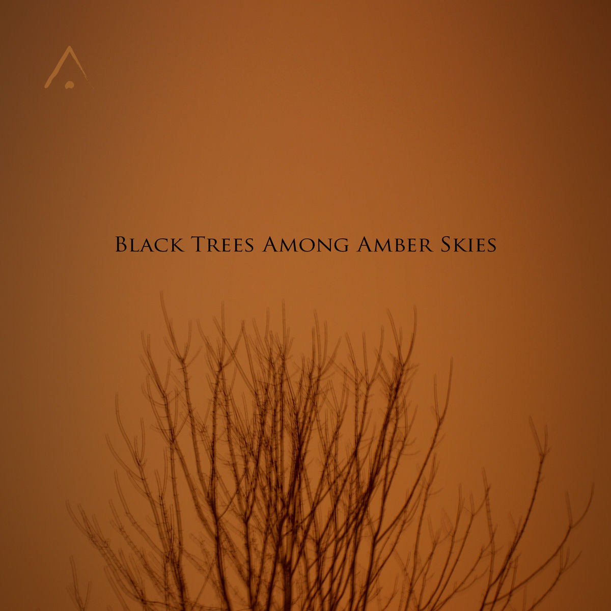 Album cover of Black Trees Among Amber Skies