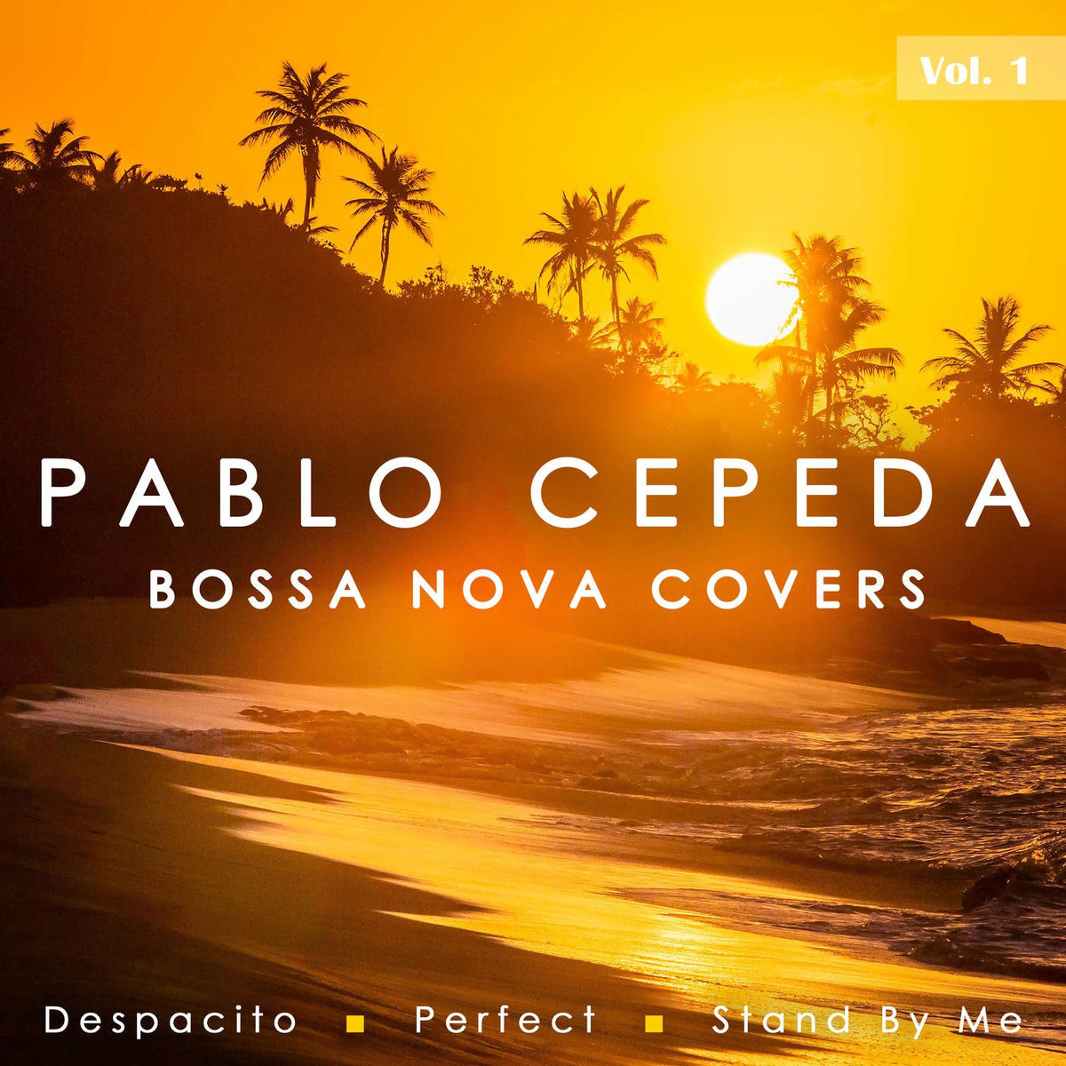 Album picture of Bossa Nova Covers, Vol. 1