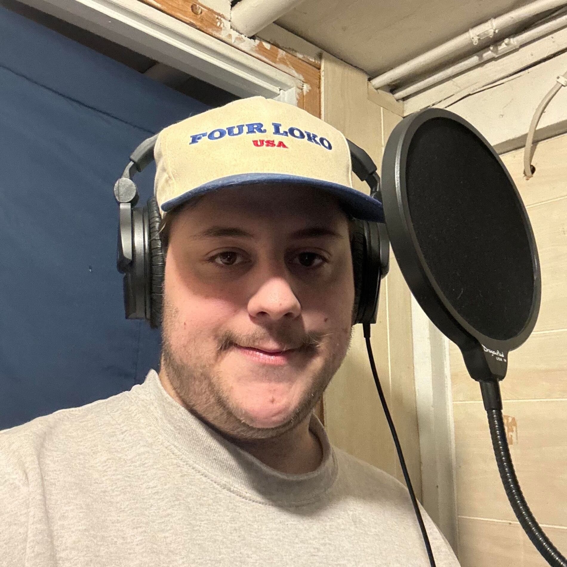 Album cover of Stewart Little