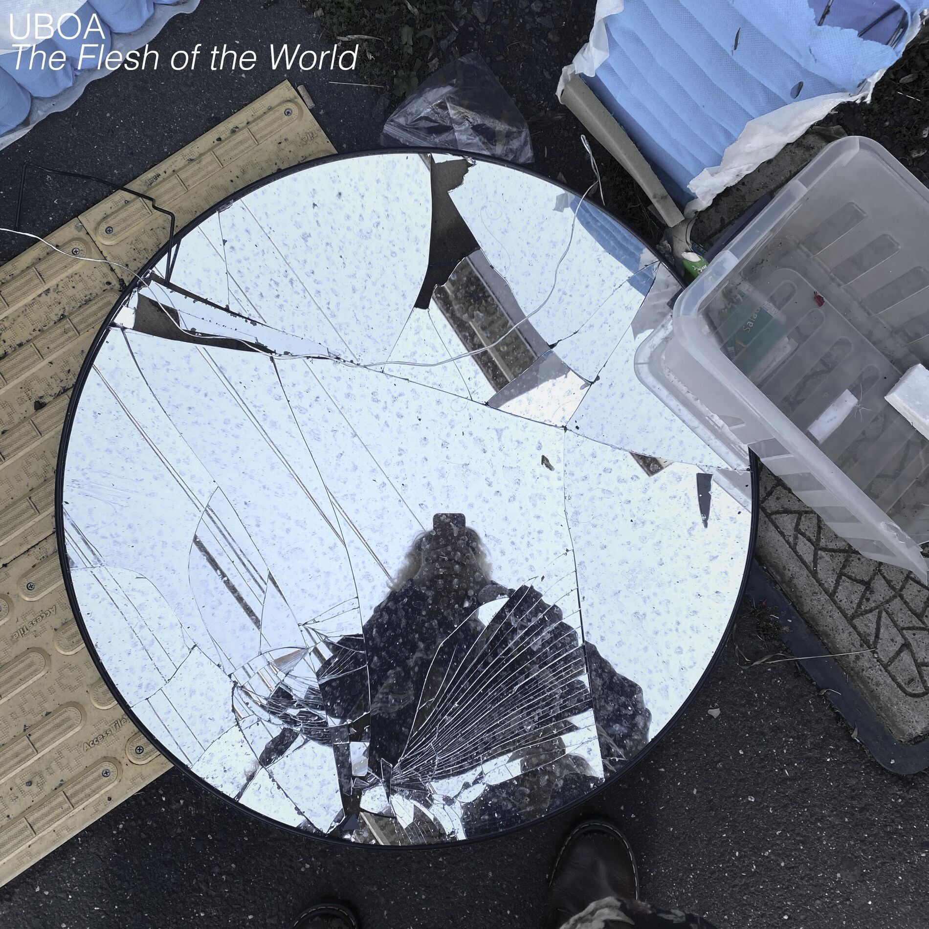Album cover of The Flesh of the World