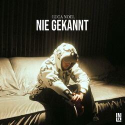 Cover of Nie gekannt