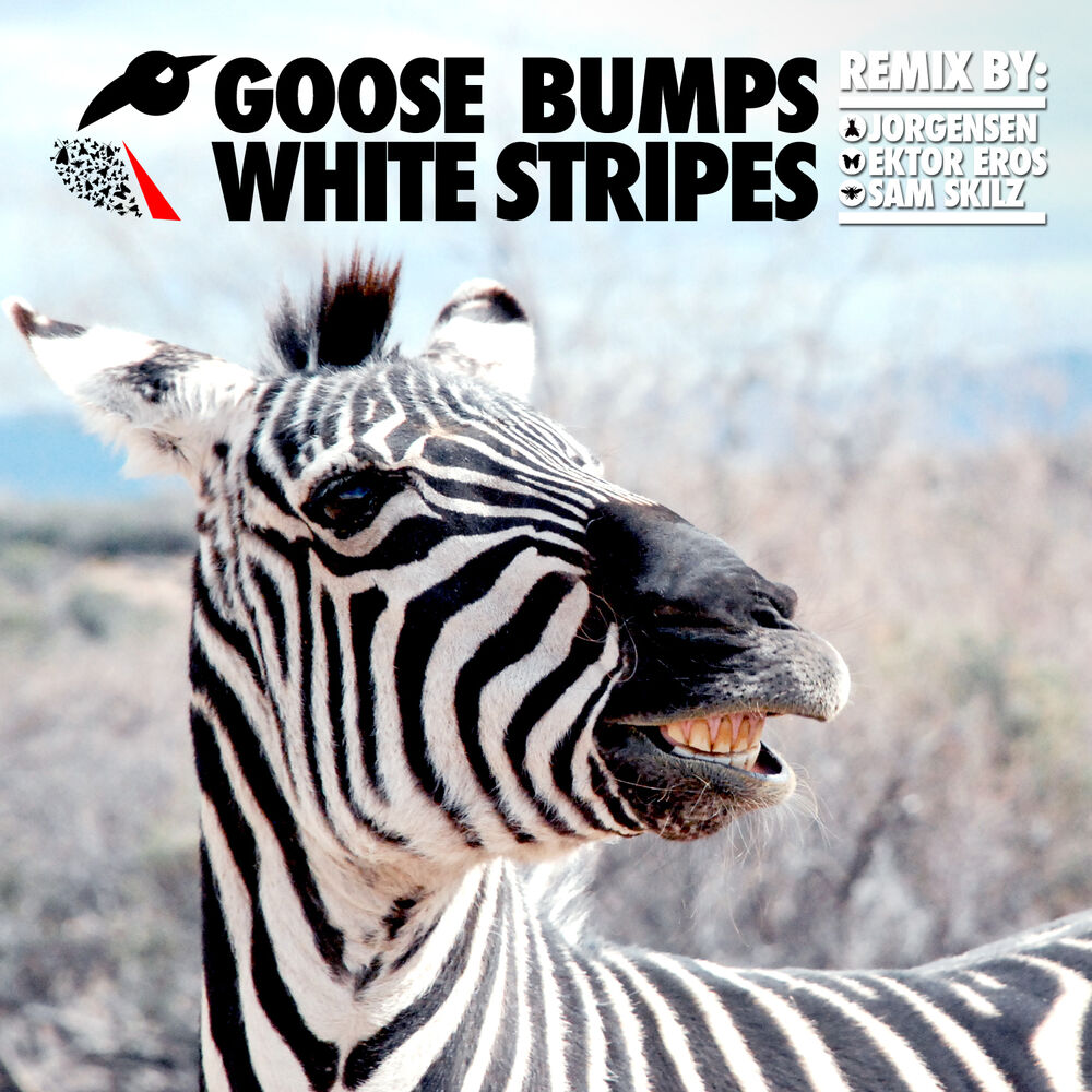 Picture of White Stripes