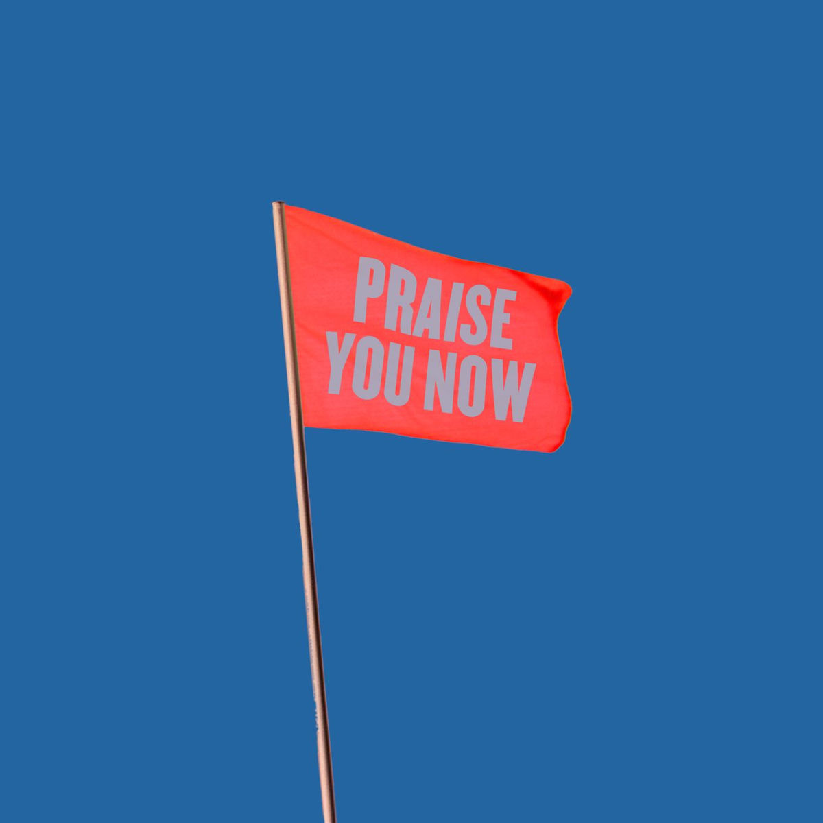 Album cover of Praise You Now