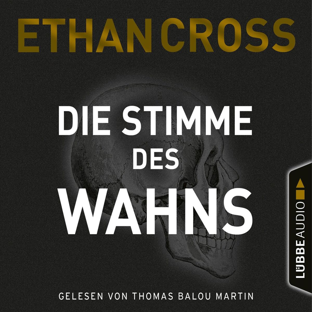 Album cover of Kapitel 1 - Die Stimme des Wahns - Die Ackerman & Shirazi-Reihe, Teil 3