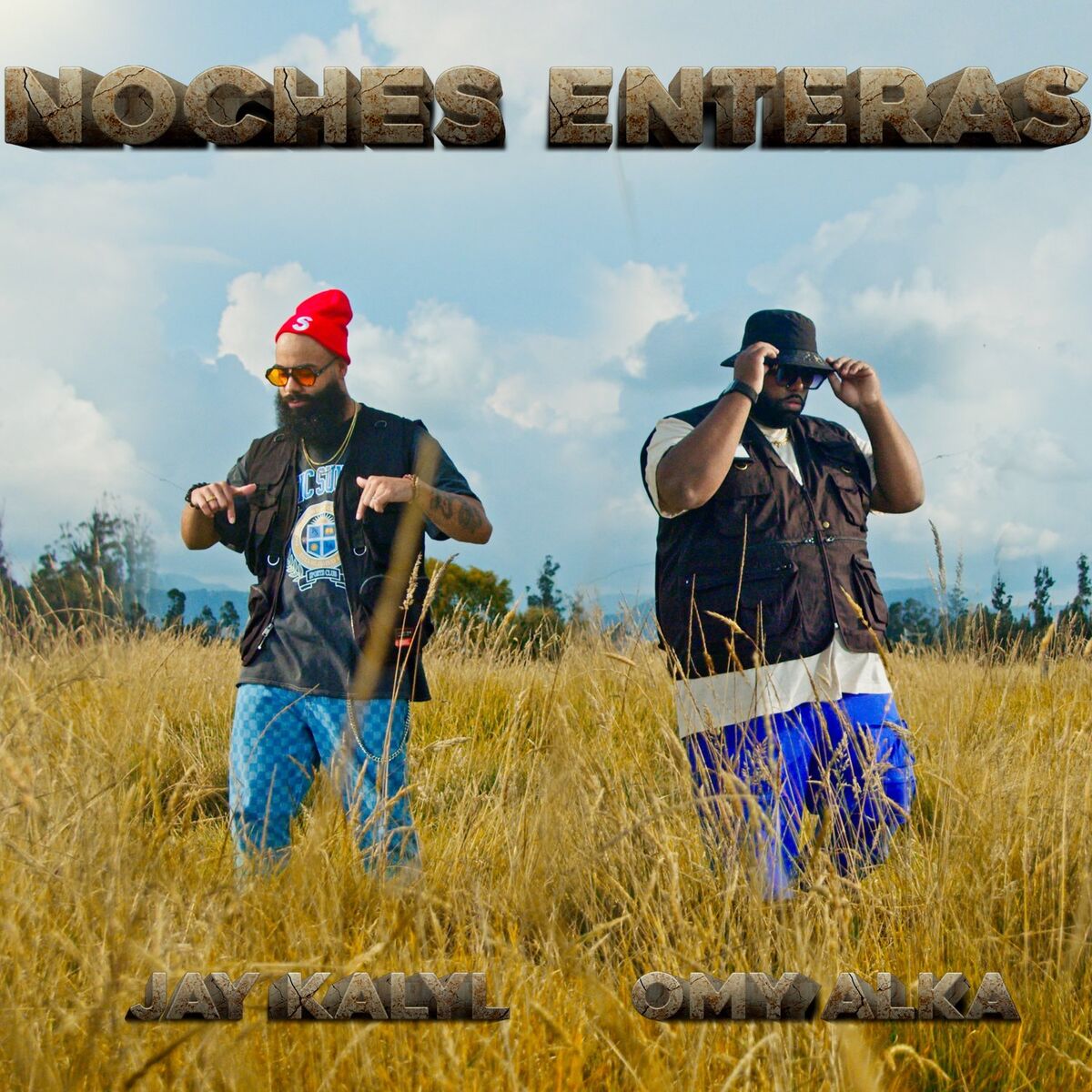 Album cover of Noches Enteras