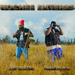 Cover of Noches Enteras
