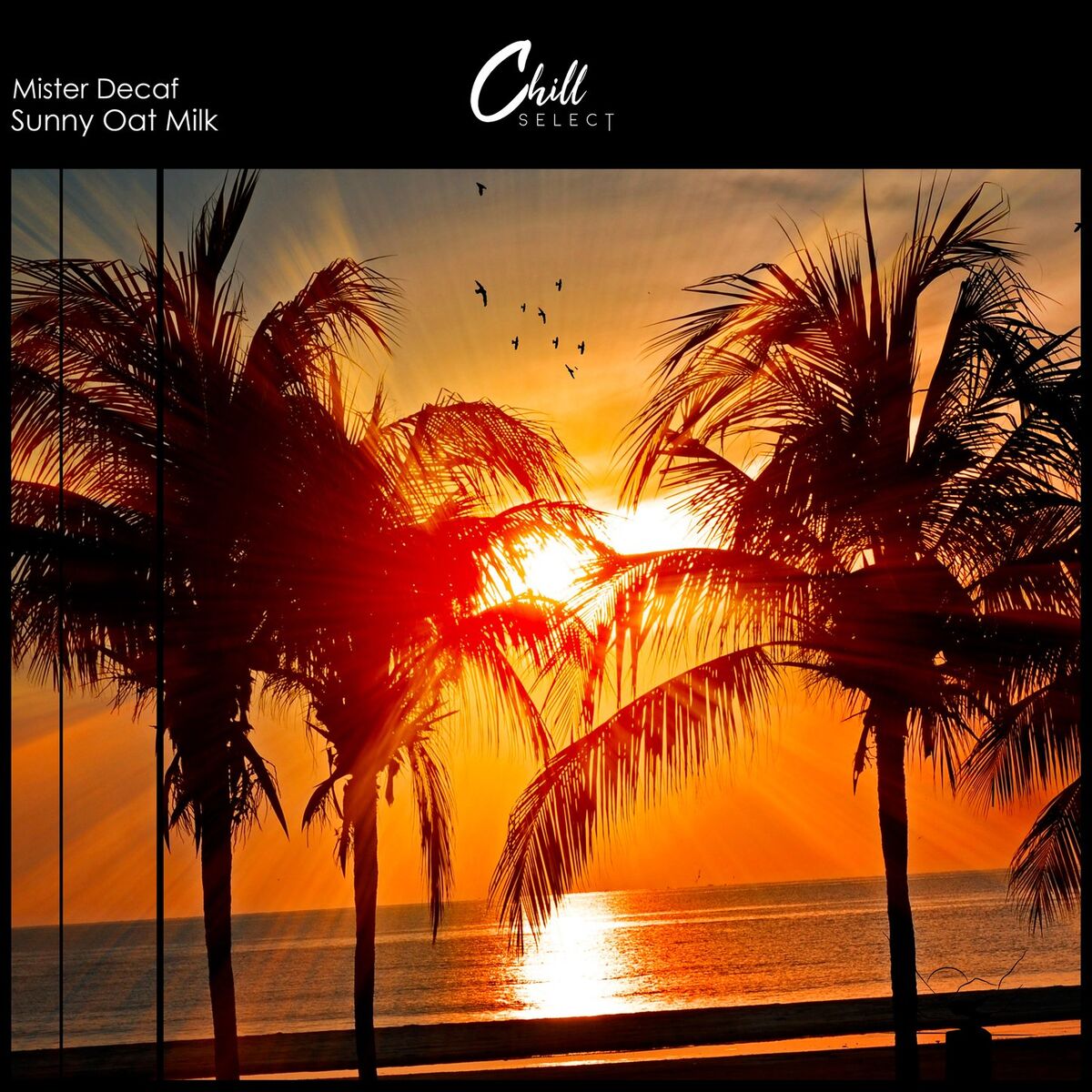 Album cover of Sunny Oat Milk