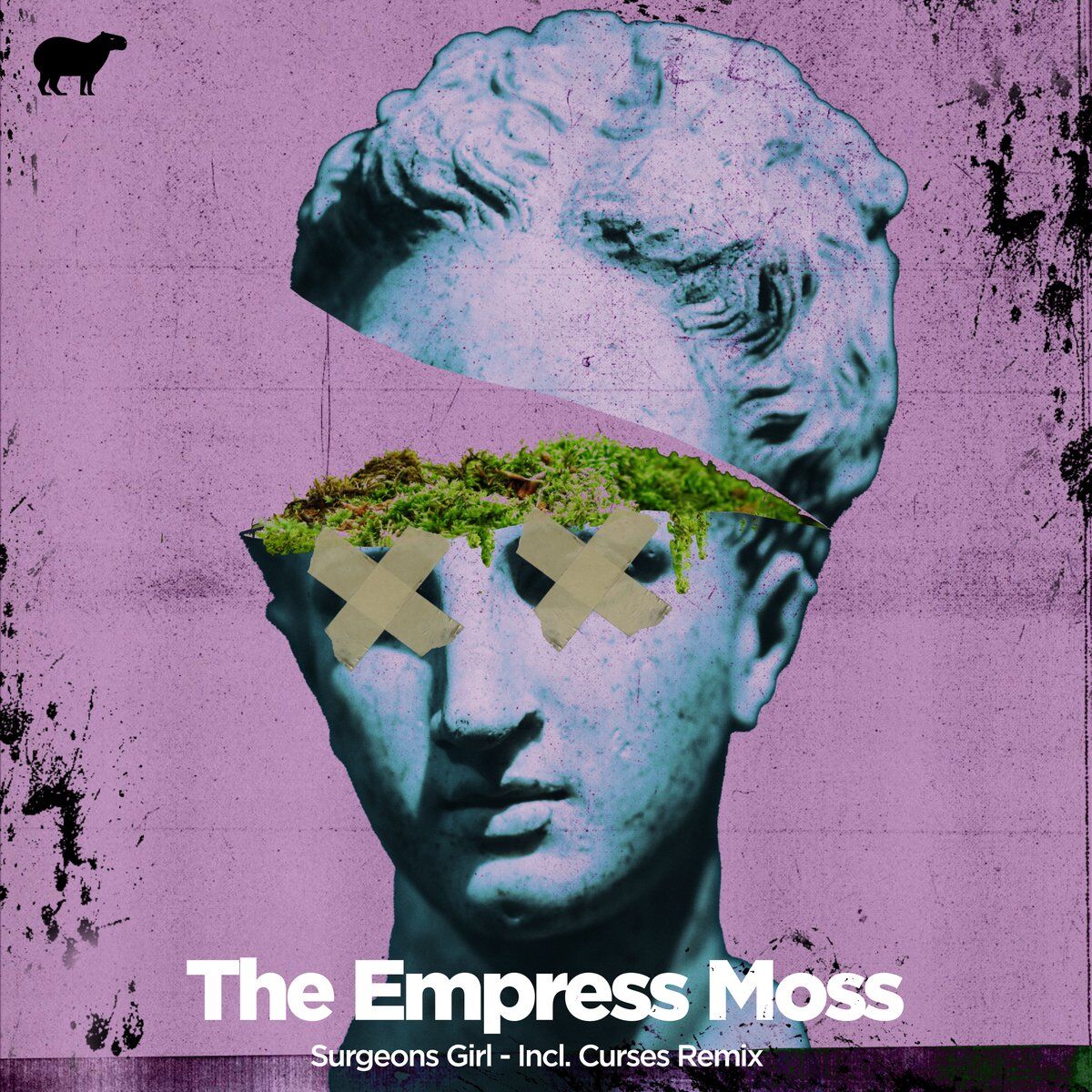 Album cover of The Empress Moss