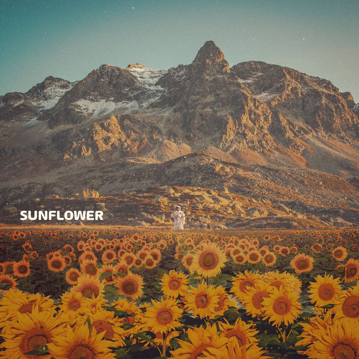 Album cover of Sunflower