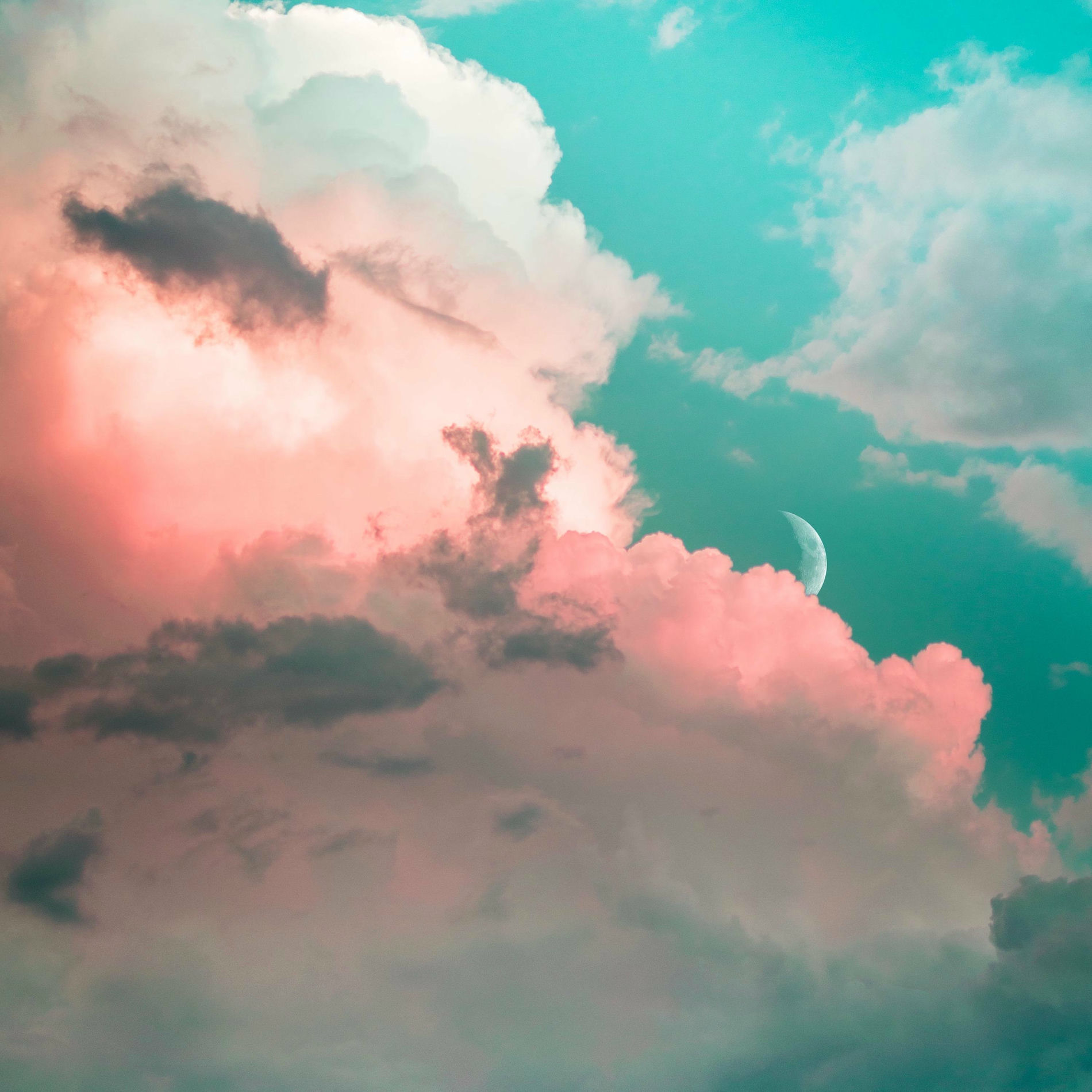 Album cover of Dear Moon