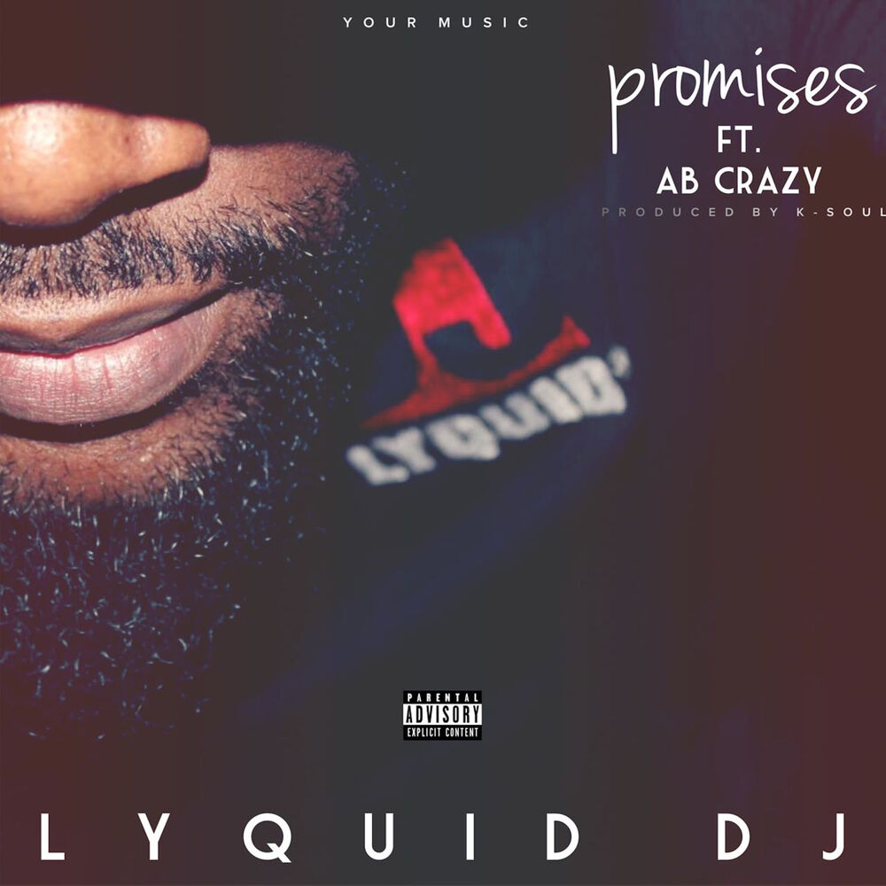 Picture of Promises