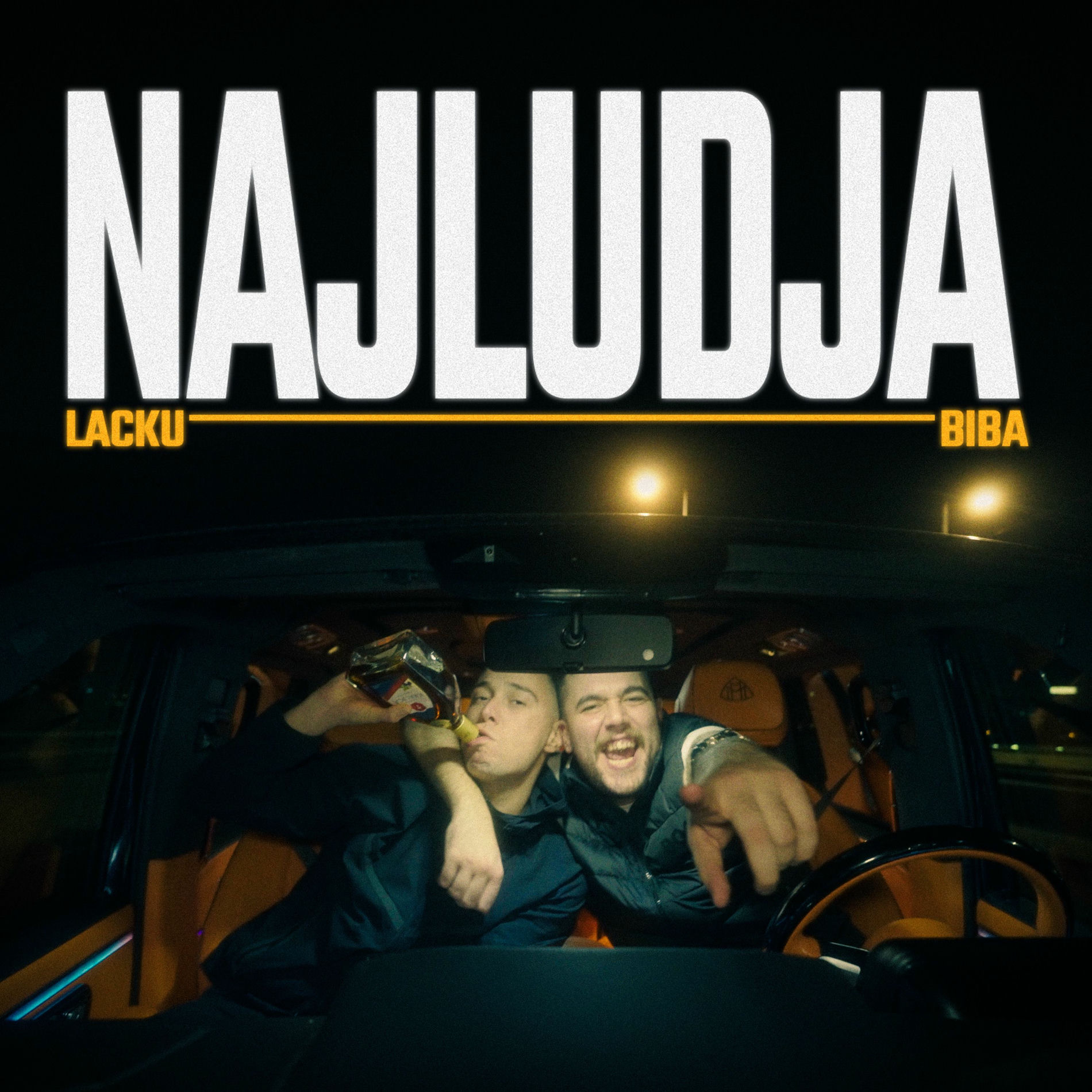 Album cover of Najludja