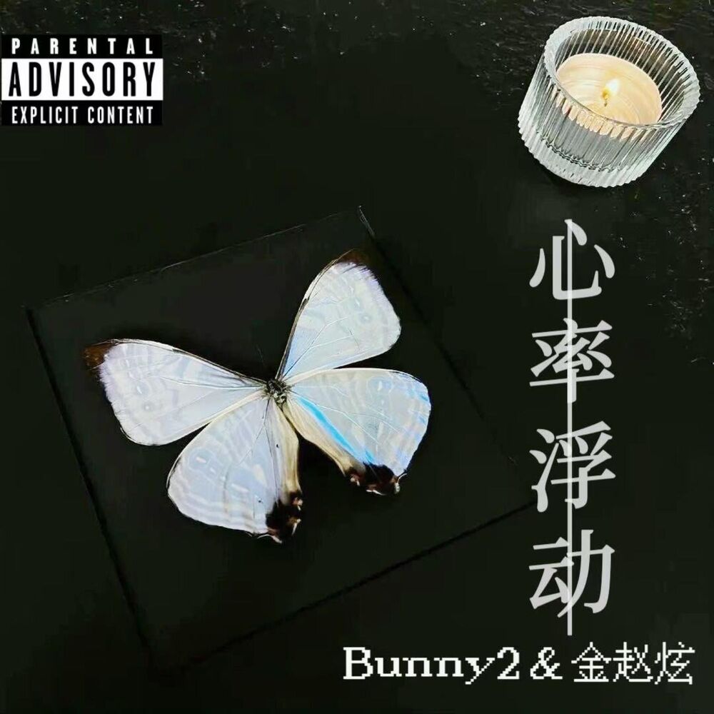 Picture of 心率浮动