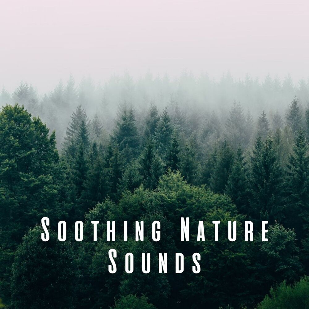 Picture of Soothing Nature Sounds