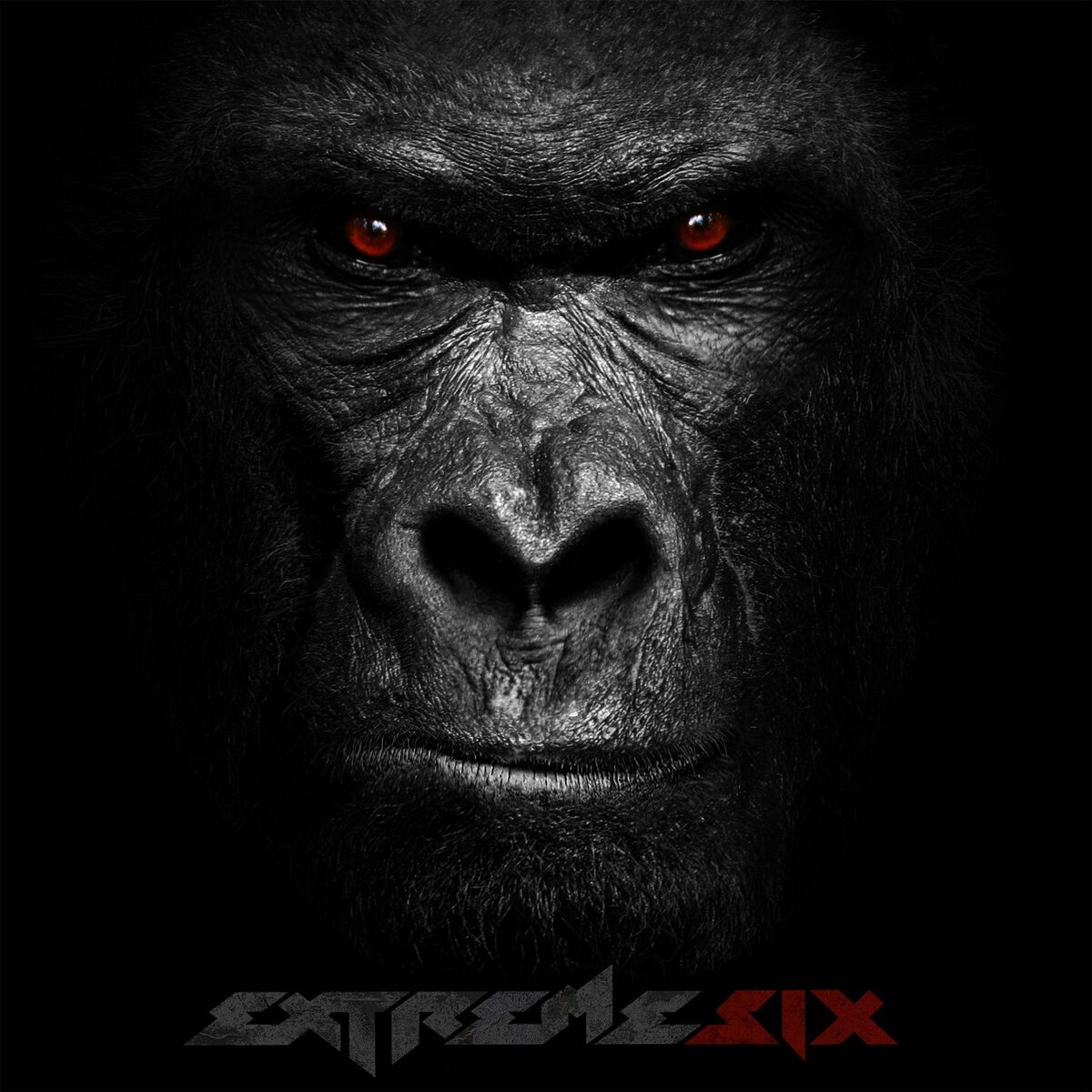 Album cover of RISE